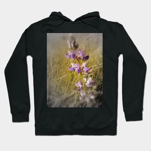 lupines in the grass #2 Hoodie by DlmtleArt